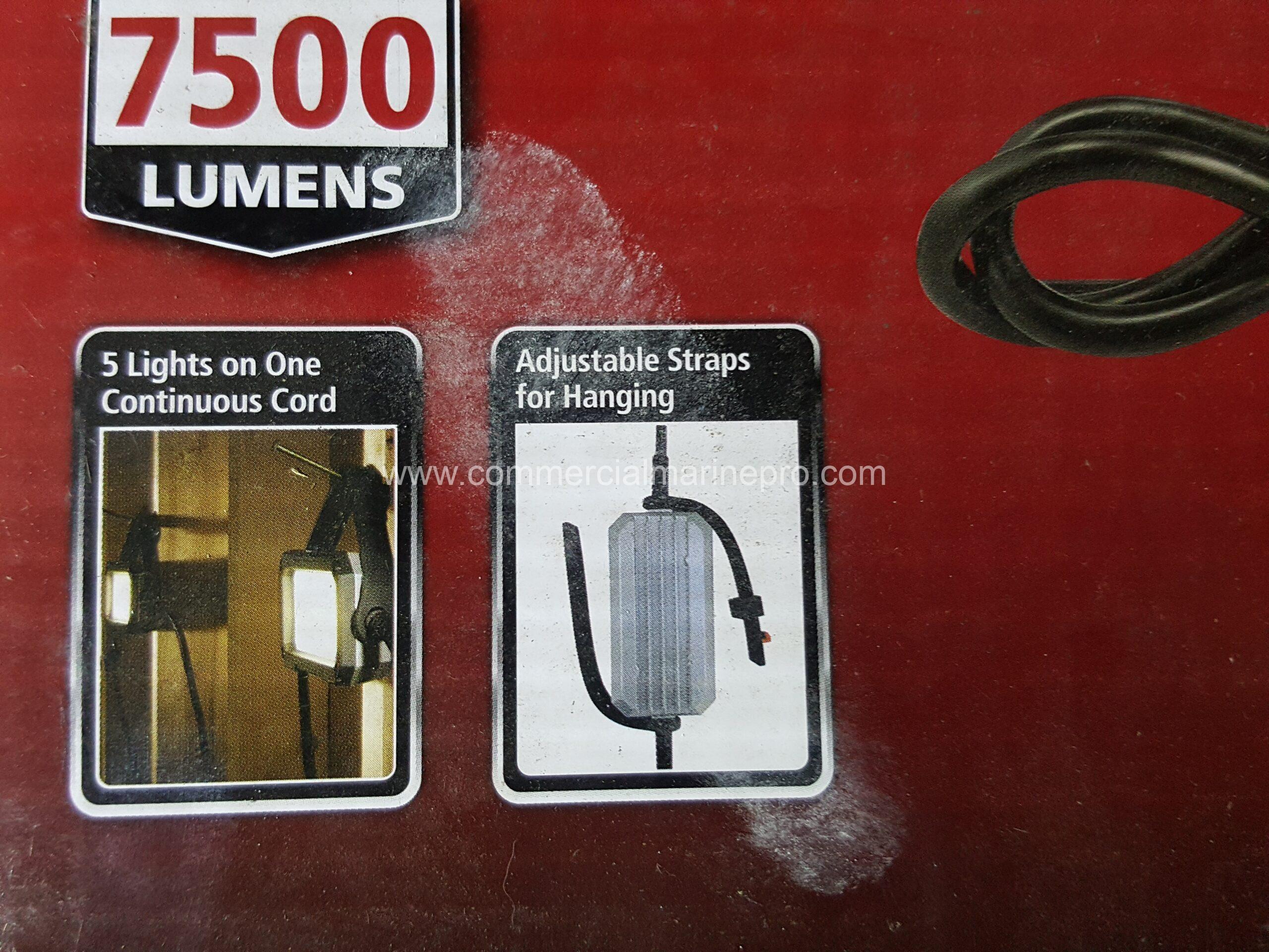 Pressure Washing and Painting Tools With Chest - Never Used