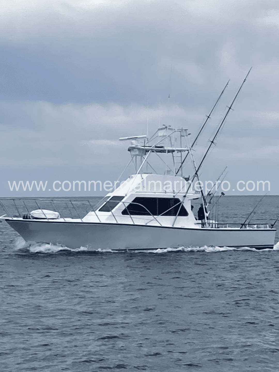 41' Charter Boat - 1987 Built