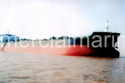 Bulk Carrier Vessel
