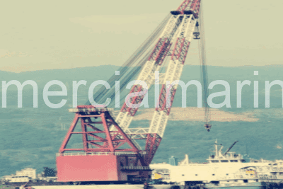 450T Lifting Capacity Fully Revolving Floating Crane