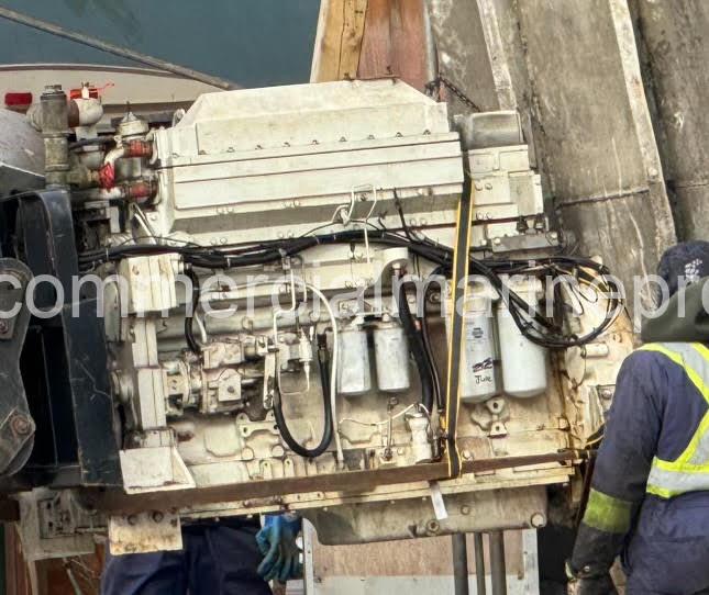 Single or Pair Cummins KT 19 Marine RTO