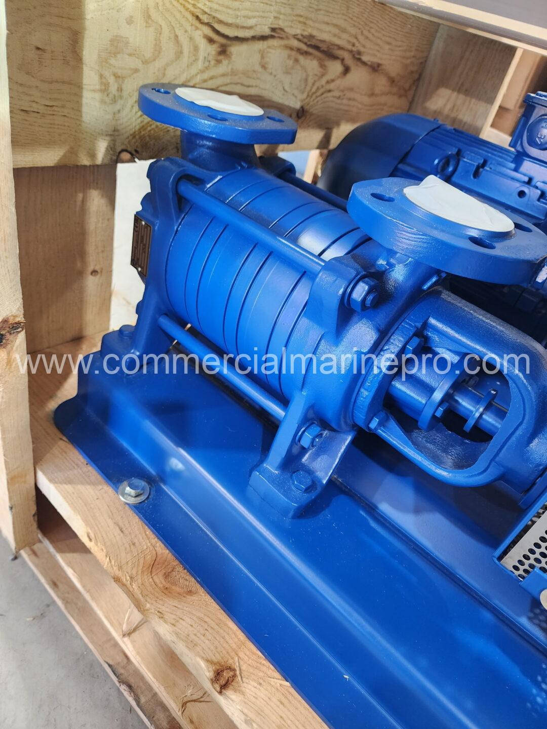 (2) Azcue BR41/30 Pumps - Image 4