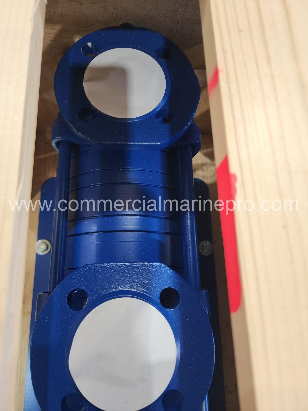 (2) Azcue BR41/30 Pumps - Image 5