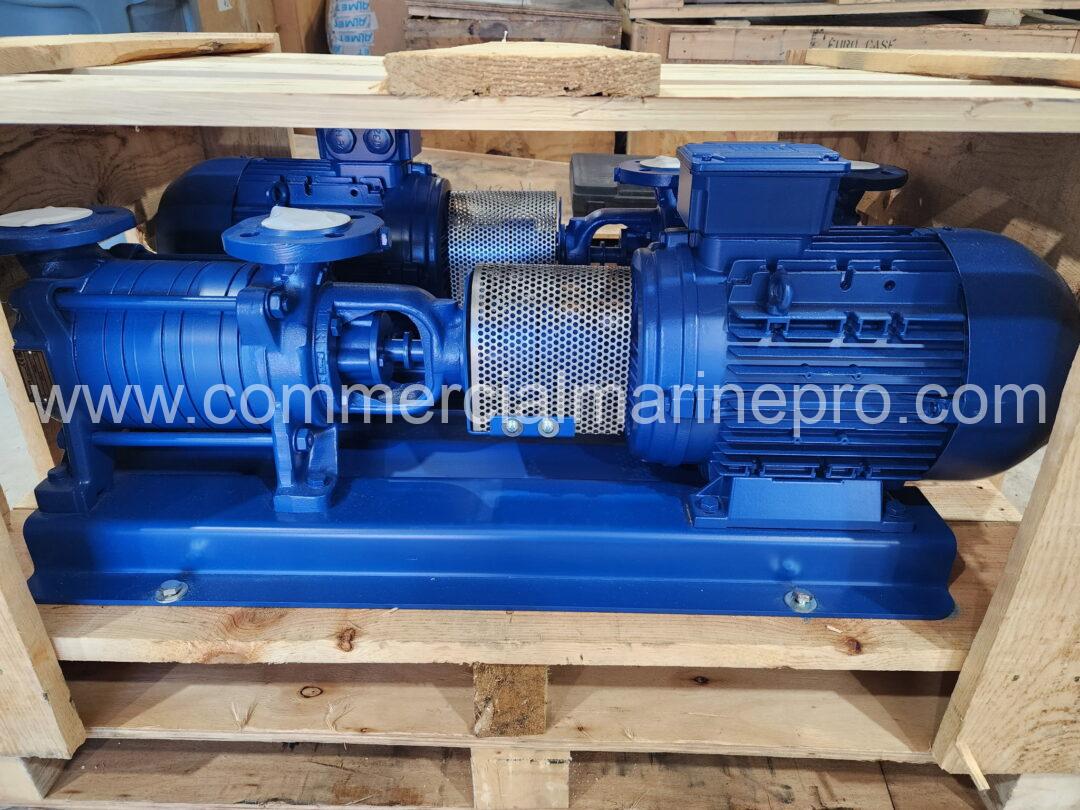 (2) Azcue BR41/30 Pumps