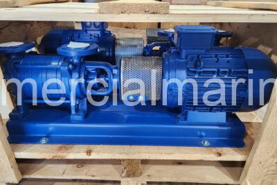 (2) Azcue BR41/30 Pumps