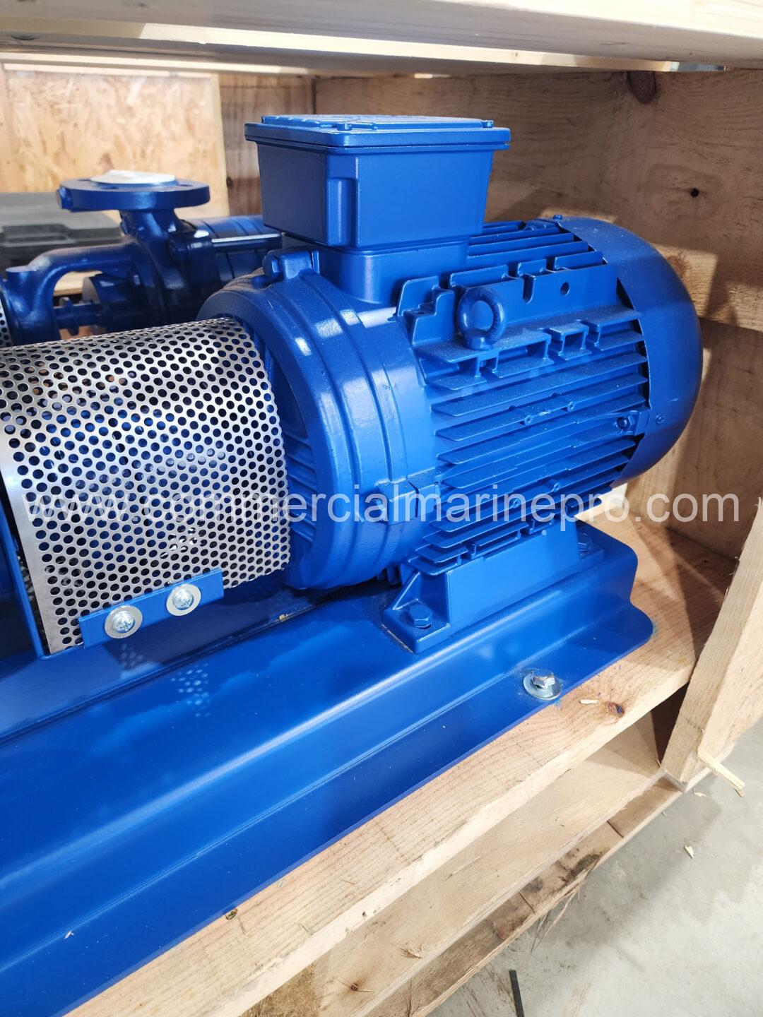 (2) Azcue BR41/30 Pumps - Image 6