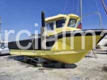 31.5 Ft WP 950 Seisworker Workboat