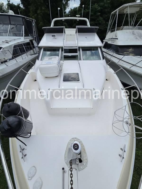 Searay 440 Express Bridge Power Boat - Image 3